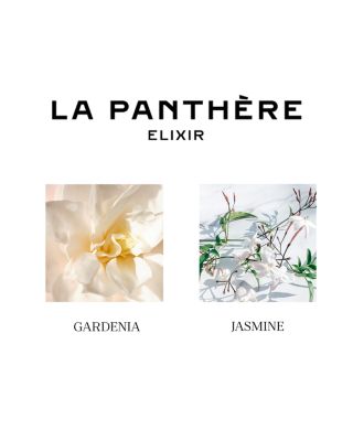 Feminine Fragrance Discovery Set