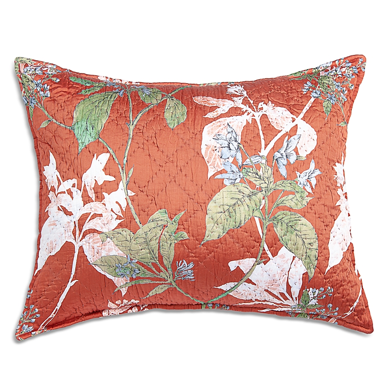 Amity Home Fitzgerald Standard Sham In Brown