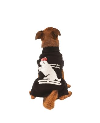 Skiing Dog Pet Sweater