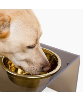 Bronze Single Bowl Pet Feeder, 2 Quart Bowl