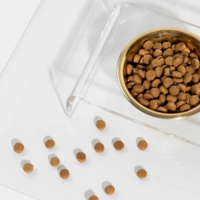 Clear Single Pet Bowl Feeder