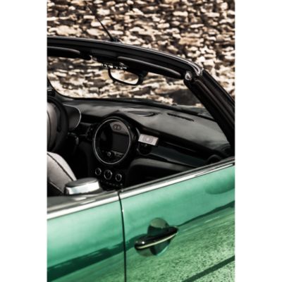 Car Diffuser Collection