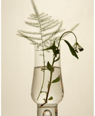 Niacinamide Heartleaf Calming Serum