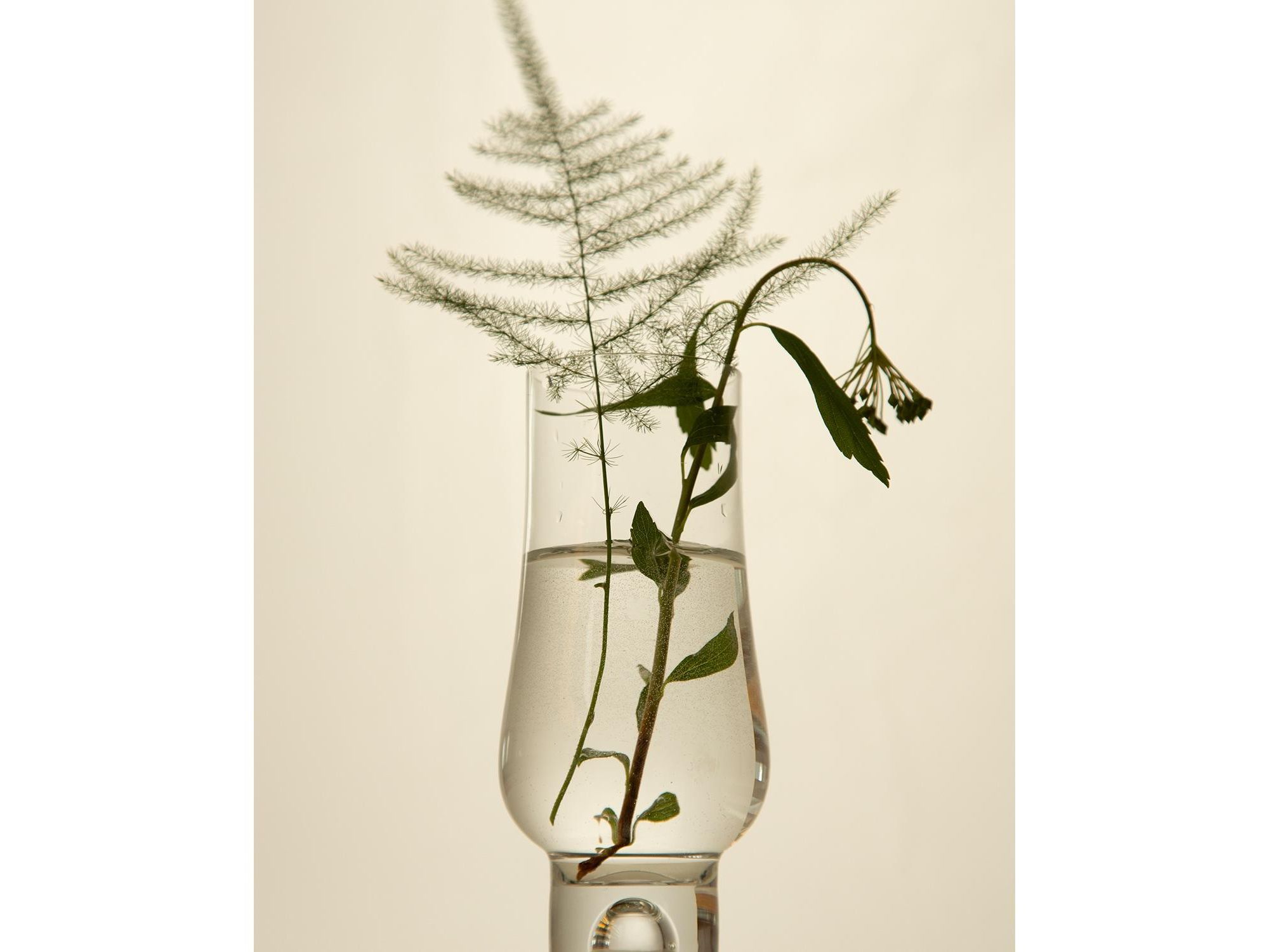 Niacinamide Heartleaf Calming Serum — Image 5