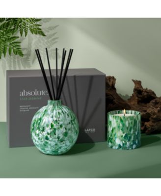 Star Jasmine Absolute Reed Diffuser, 15 oz. 