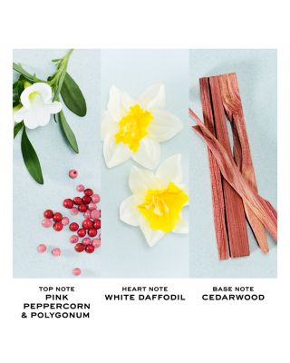 Perfect Eau de Toilette 1.6 oz.