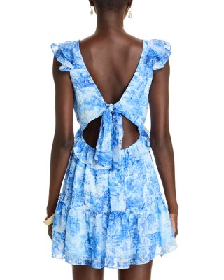 Toile Ruffle Trim Dress - Exclusive 