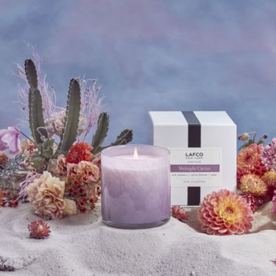 Midnight Cactus Signature Candle, 15.5 oz.