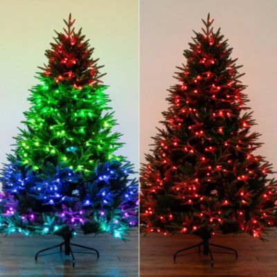 6&#39; Pre Lit Artificial Edmonton Fir Light Show Memory Shape Christmas Tree with Instant Connect Technology and 300 Color Changing LED Lights