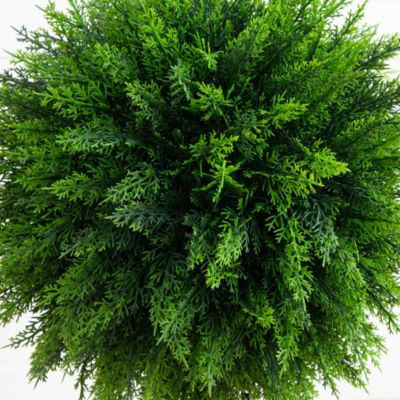 2.5&#39; UV Resistant Artificial Cedar Ball Topiary Tree in White Decorative Planter (Indoor/Outdoor) Artificial Topiary