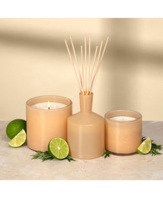 Paloma Melon Signature Candle, 15.5 oz.