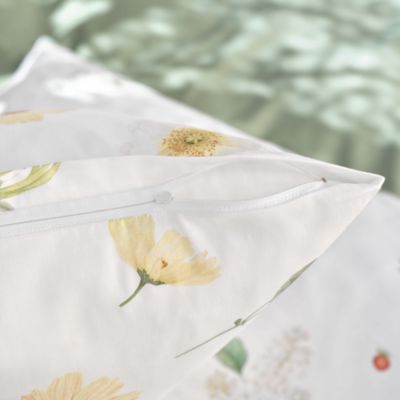 Zinnia Blanc Sham, Boudoir