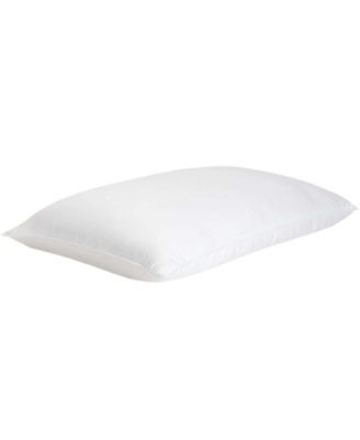 Cozy Earth - Silk Pillow, King