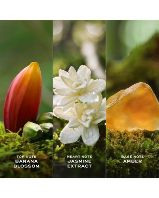 Daisy Wild Eau So Intense Eau de Parfum Pen Spray 0.33 oz.