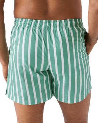 Striped Swim Shorts