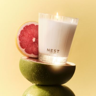 NEST New York Grapefruit Classic Candle, 8.1 oz.