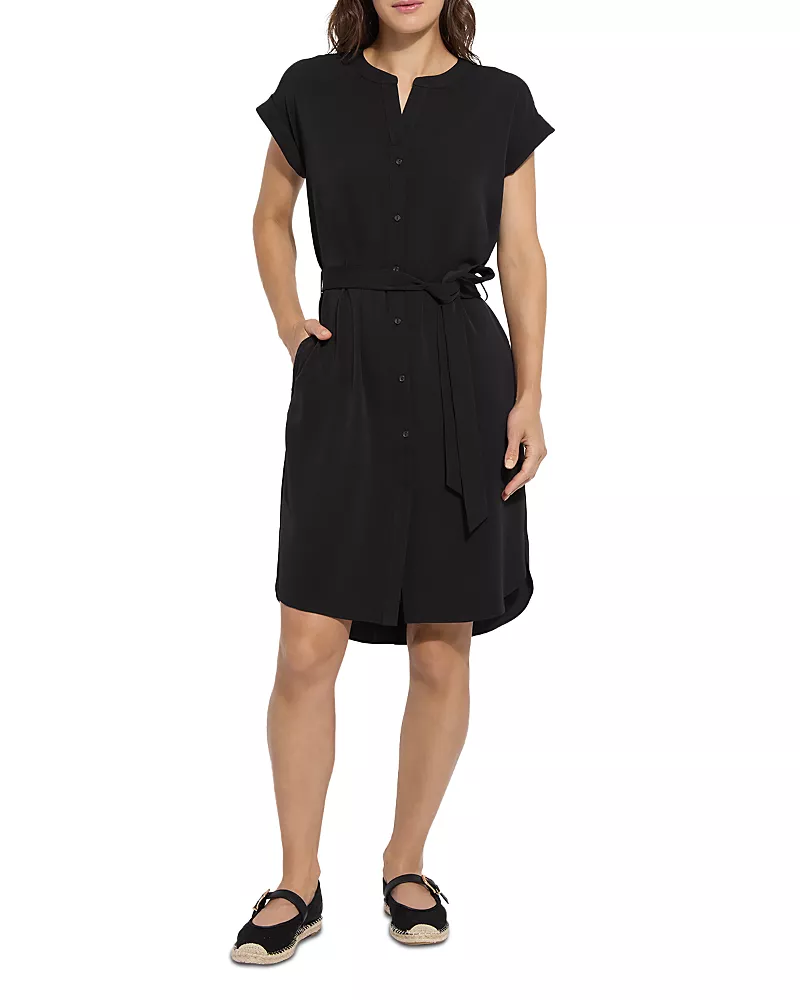 Lysse Plus Blakely Pull On Dress