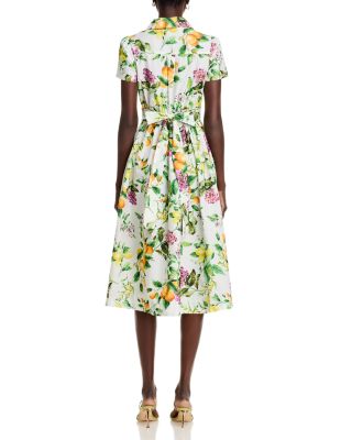 Lemon Print Fit & Flare Poplin Shirt Dress - Exclusive