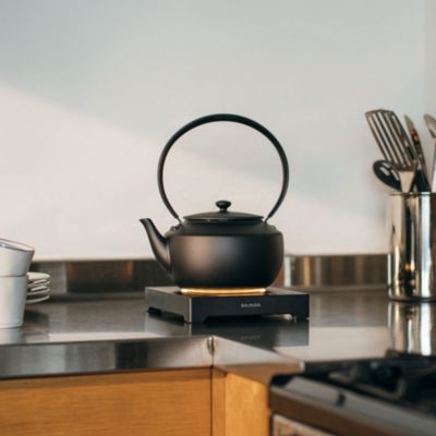 MoonKettle Electric Kettle