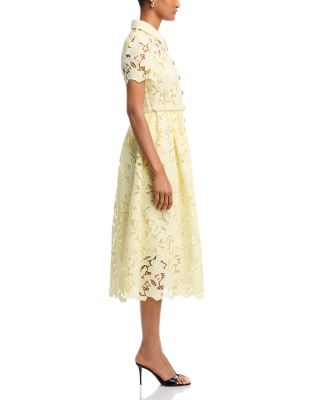 Lace Collared Midi Dress