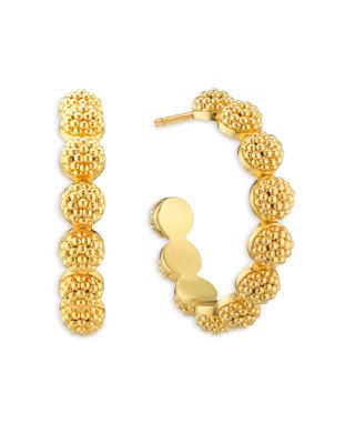 Berry Icon Hoop Earrings in 18K Gold Plated