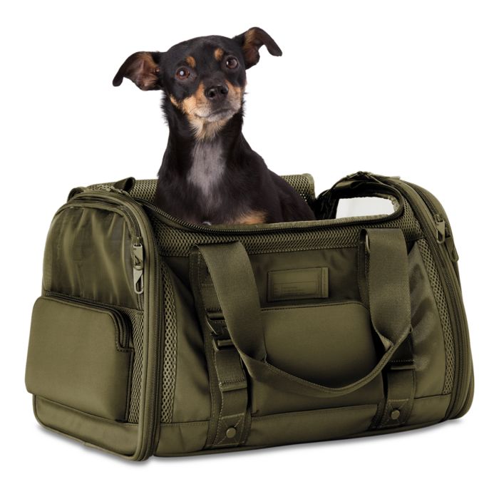 Large Kyoto Pet Carrier