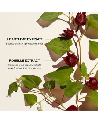 Radiance & Resilience Ritual Set ($235 value)