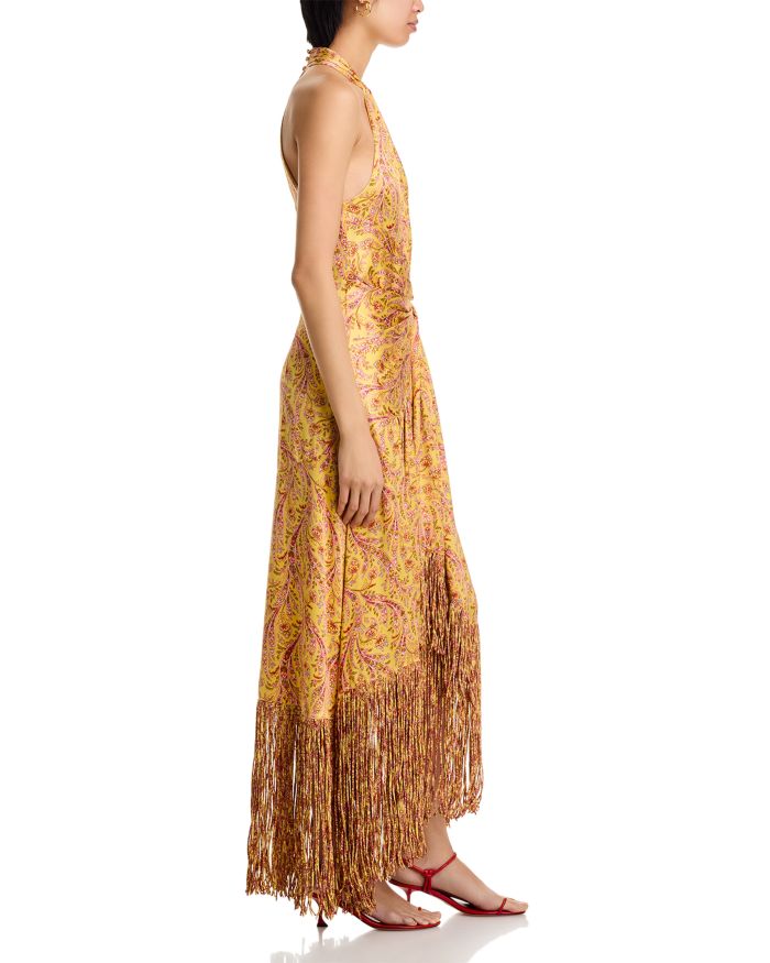 Charming Paisley Teresa Dress