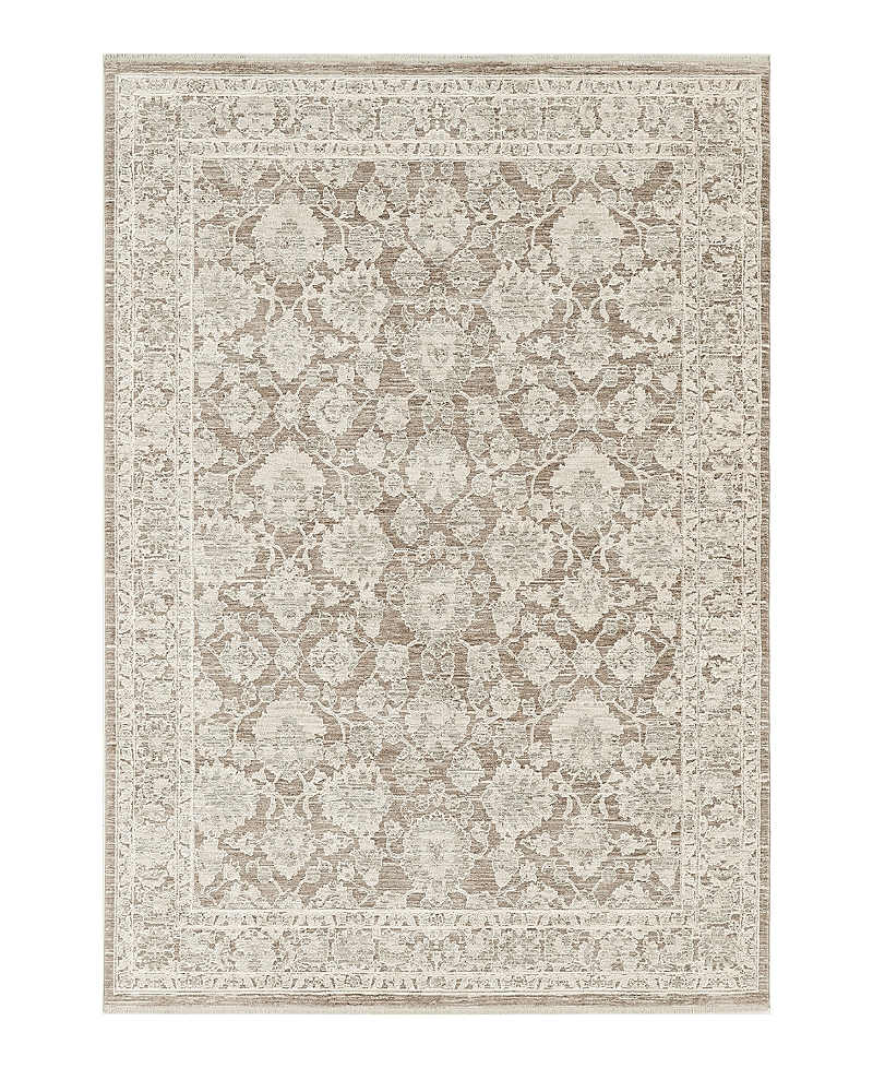 Nourison Home Shadows Shw03 Area Rug, 3'11 X 5'11 In Nude