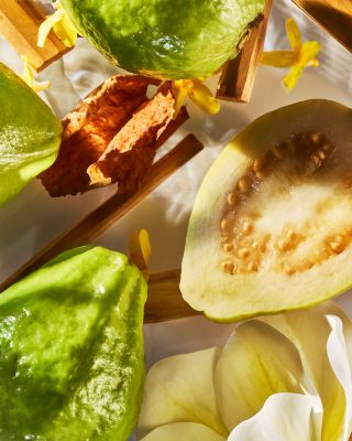 Isola Verde Parfum 1.7 oz.