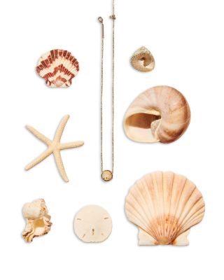 Sand Dollar Natural Mother of Pearl Short Pendant Necklace, 17.4"-20.4"