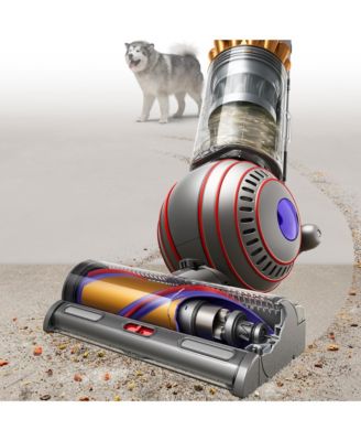 Ball Animal 3 Complete Upright Vacuum