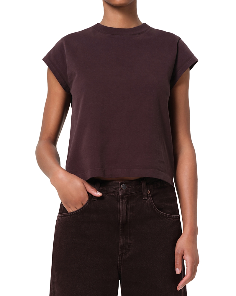 Agolde Bryce Cap Sleeve Tee In Brown