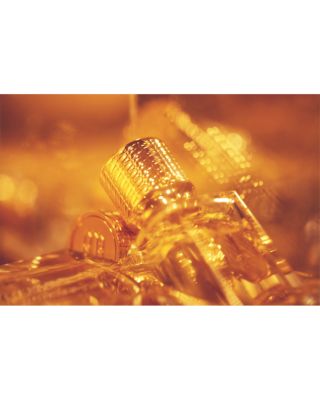 Gold Immortals Eau de Parfum 3.4 oz.