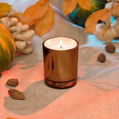Pumpkin Ginger Scented Petite Candle 5 oz.