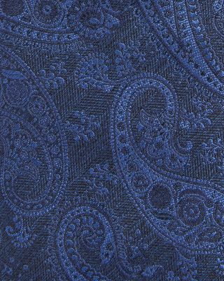 Silk Classic Textured Paisley Tie