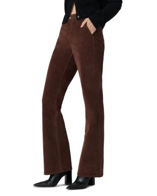 The Provocateur Petite Bootcut Jeans in Chocolate