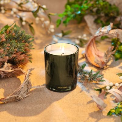 Juniper Birch Petite Scented Candle, 5 oz.