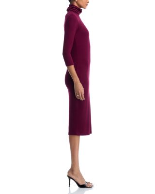 Voletta Three Quarter Sleeve Turtleneck Dress