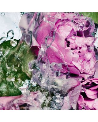 Lost Rose Hand Wash Refill 15.2 oz.