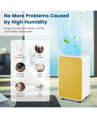  Portable 32 Pints/Day Dehumidifier for Home Basement with 3 Modes