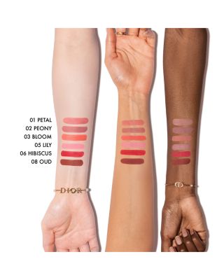 Dior Forever Blush Soft Filter