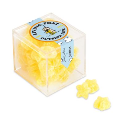 Snoopy Living That Outside Life Candy Cubes, Set of 4