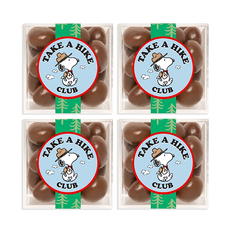 Sugarfina Snoopy Take A Hike Club Chocolate Biscuit Cubes, Set Of 4 In Brown