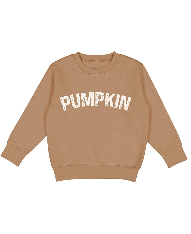Sweet Wink Boys' Pumpkin Sweatshirt - Little Kid, Bid Kid