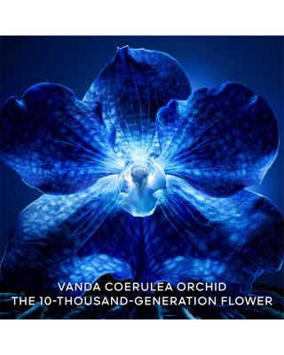 Orchid&eacute;e Imp&eacute;riale The Longevity Rich Cream Refill 1.6 oz.