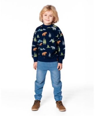 Boys' Pullover Fleece Sweatshirt - Little Kid