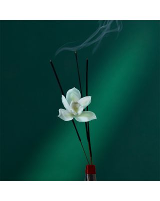 Eau the Audacity Eau de Parfum 1.7 oz.