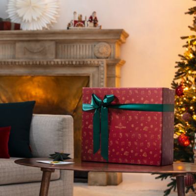 Christmas Toy's Memory Advent Calendar 2025