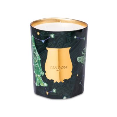 Fir Large Candle 101 oz.